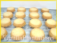 �o�^�[�T�u���E�o�j��