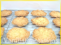 �A�[�����h�`���C��